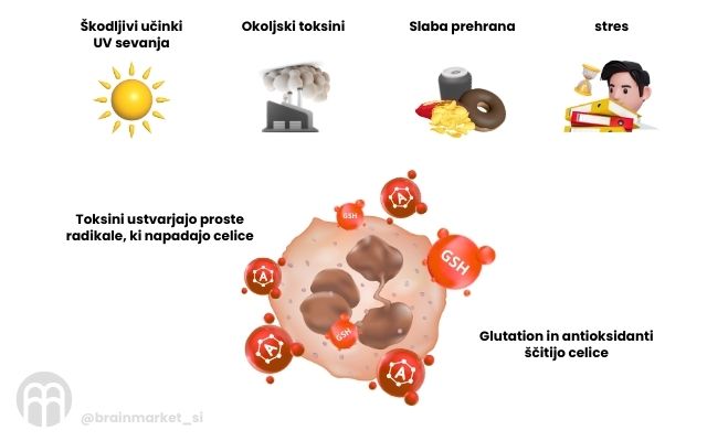 (Slovinština) (86)